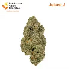 Juicee J - Pre-Ground Flower - 14G