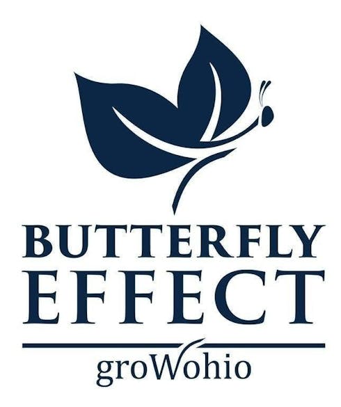 Butterfly Effect | Tincture 2 day
