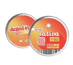 Dialed In - Rosin - Cocomamba Grape Punch Gummies (H) 10pk - 100mg