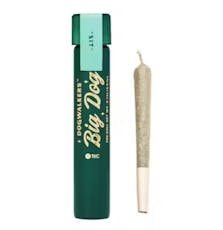 Great Divide Preroll - 1pk/1g