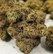 Blue Zushi | Old Pal | Buds | 28g