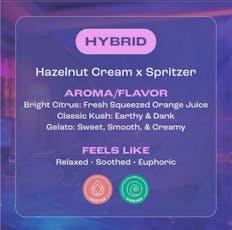 GDF: Flower | Miami Midnight | 14g