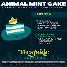 Animal Mint Cake - 3.5g