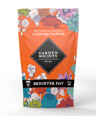 14g Lemon Hashplant | TAX INCLUDED