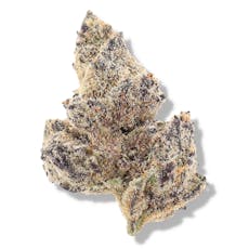 The Deli - Hollywood Runtz