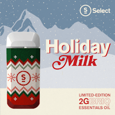 Essentials Holiday Milk BRIQ 2g