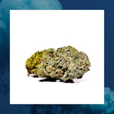 Premium | Colonial Kush | Cultivar | 3.5g