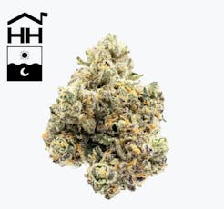 Harbor House | Yellow Stupo | Flower - 7g