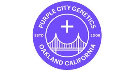 Purple City Genetics Autoflower 3pk Autofuel
