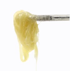 Leiffa - Cold Cure Live Rosin - Black Maple (H) 5g