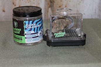 Forbins Finest | Cake Crasher