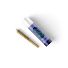 Grape Sitter Pre-Roll | 2 x 0.5g