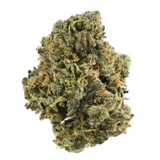 Cannabish | Toad Venom