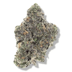 The Deli - Nitro Runtz