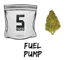 Fuel Pump | Dime