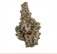 Ricotta Pie 14g Flower