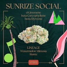 PEAK - PREPACK - 3.5G - SUNRIZE SOCIAL - HYBRID