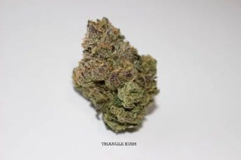 Roemer Farms - Triangle Kush (I) - 28.17% - Flower - 3.5g