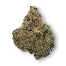 Higher Love Atomic Oasis Buds