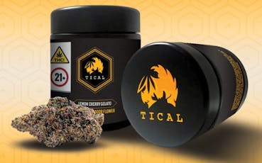 TICAL | INDOOR FLOWER | DUTCH TREAT | 3.5G JAR