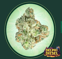 Dark Heart Delphi Diesel Small Flower | 14g