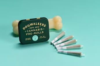 DogWalkers Animal Face 5pk | 1.75