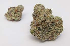 Gold Shelf - Scotch Soda (S)