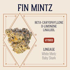 Fin Mintz