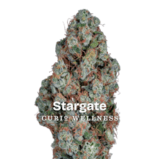 Curio Wellness: Stargate | 2 x 0.5g Pre-Rolls | 1g