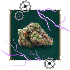 Peak: Flower | Grease Lightning | 3.5g