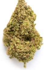 Molecular Farms | Marrion Berries | Pre-Packaged Flower | 3.5g