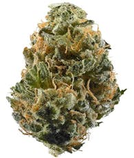 Crown Jewel - 244 - 3.5g