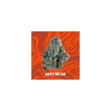 Vivid | Maple Nectar 14g