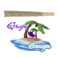 1.0G Infused Preroll Grape Escape