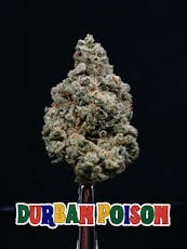 Flower - Durban Poison - Top Shelf