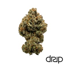 (DRIP) Top-Shelf Flower 7g (Motorbreath OG)