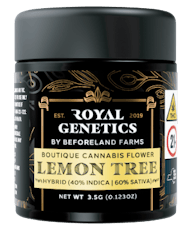 Lemon Tree - Small Batch (3.5g)