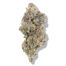 The Deli - Gary Payton