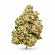 Gelato Cake | Flower | 3.5g