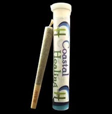 Coastal Healing | Raspberry Sunset | PRJ | 1g