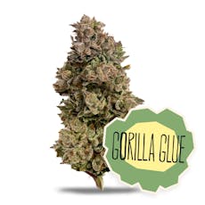 Original Glue | 14G | UNTRIMMED SMALLS