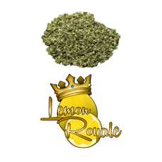 28.0G PreGround Lemon Royale