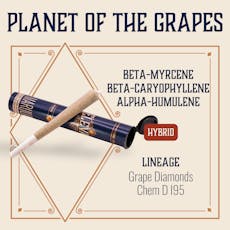 ELEVATE - PREROLL - 1G - PLANET OF THE GRAPES - HYBRID
