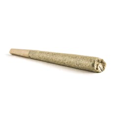 Ice Kream Hash LolliTropics Rosin Infused Pre-Roll | 1g