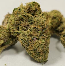 Black Maple | CMS | Buds | 3.5g