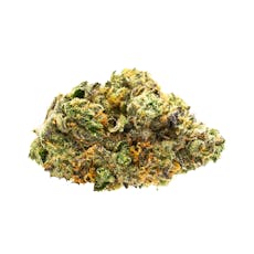 Animal Face 14g - Rythm (Pre-Pack)