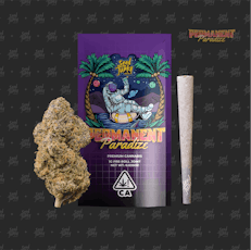 Seed Junky - 1g Preroll - Permanent Paradize