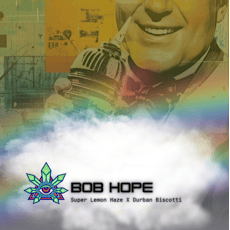 Bob Hope Pre-roll- 1g