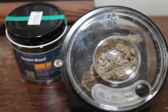 Northeast Kannabis I Super Boof