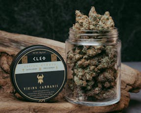 Cleo by Viking Cannabis